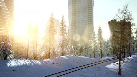 City-and-Forest-in-Snow